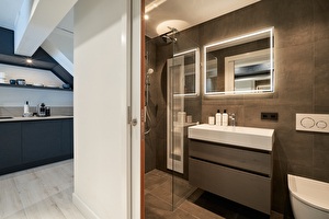 Badkamer met Sunshower, een wasbak met verlichte, verwarmde spiegel en toilet